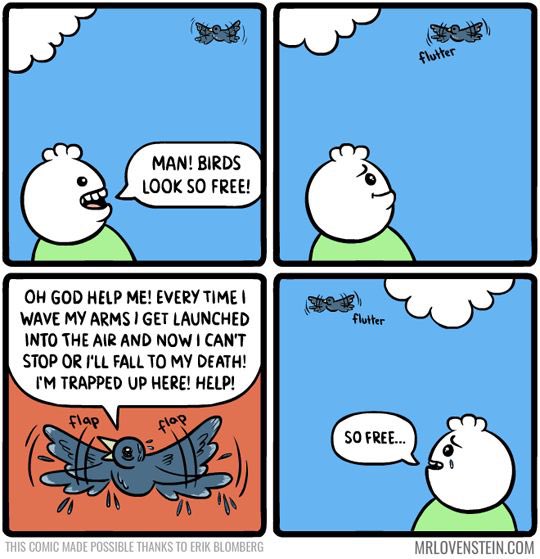 Aaron Leclair tweet media