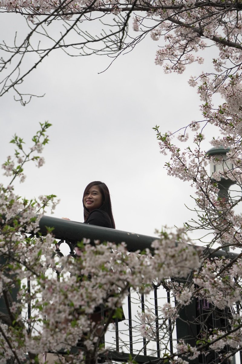 CsandraSiaaa's tweet photo. Japan 2024 dump 🌸
15 days
8 pics
__ LWOP https://t.co/l3pqU9cZVT