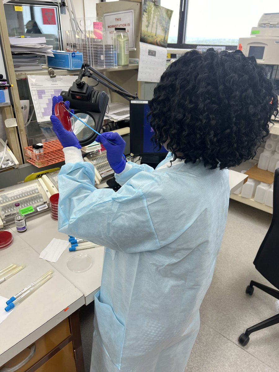 Phyu Thwe, Ph.D., D(ABMM), MLS(ASCP) (@phyu_birdiemama) on Twitter photo Our ID pharm resident having fun playing with A baumanii isolates 😅 🧫🧫🥼🔬🧑🔬 <a href="/MontefioreID/">Montefiore & Einstein ID</a> <a href="/MontePGY2ID/">Montefiore PGY2 ID Pharmacy Residency Program</a> <a href="/YiGuo16356530/">Yi Guo</a> Our ID pharm resident having fun playing with A baumanii isolates 😅 🧫🧫🥼🔬🧑🔬 <a href="/MontefioreID/">Montefiore & Einstein ID</a> <a href="/MontePGY2ID/">Montefiore PGY2 ID Pharmacy Residency Program</a> <a href="/YiGuo16356530/">Yi Guo</a>
