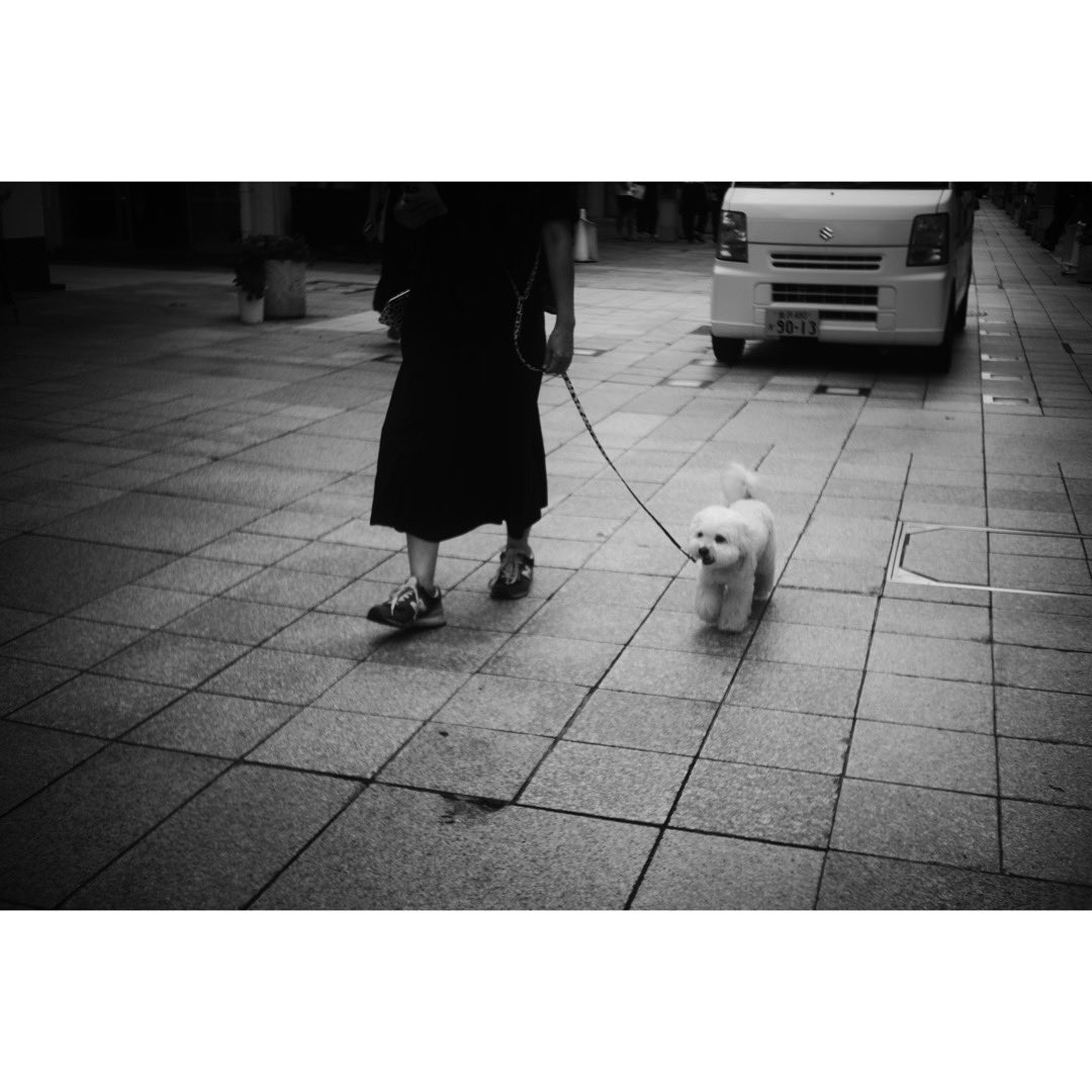 shashinshashin8's tweet photo. 動画「金沢の街並みと、そこに暮らす人々3」より
#industar69
#streetphotography https://t.co/tB51Aznj4e