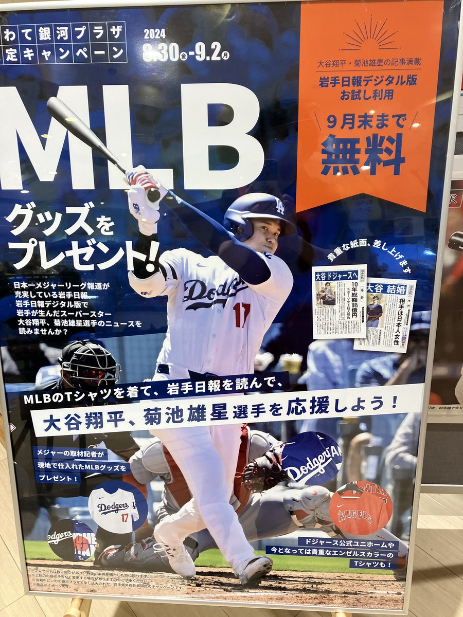 岩手の銀河大谷翔平