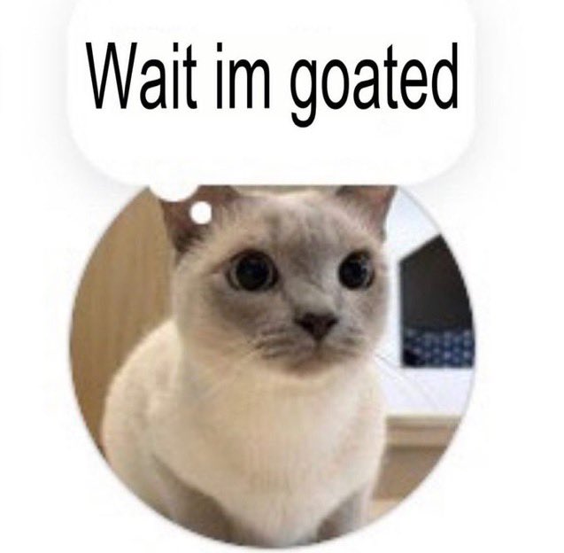 ShitpostGate tweet picture
