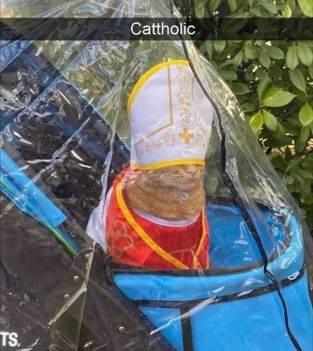 En busca de nombre🔴⚪️ 🏆 tweet media