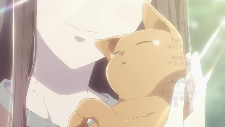 dailykyoru's tweet photo. https://t.co/om9vwJ32Un