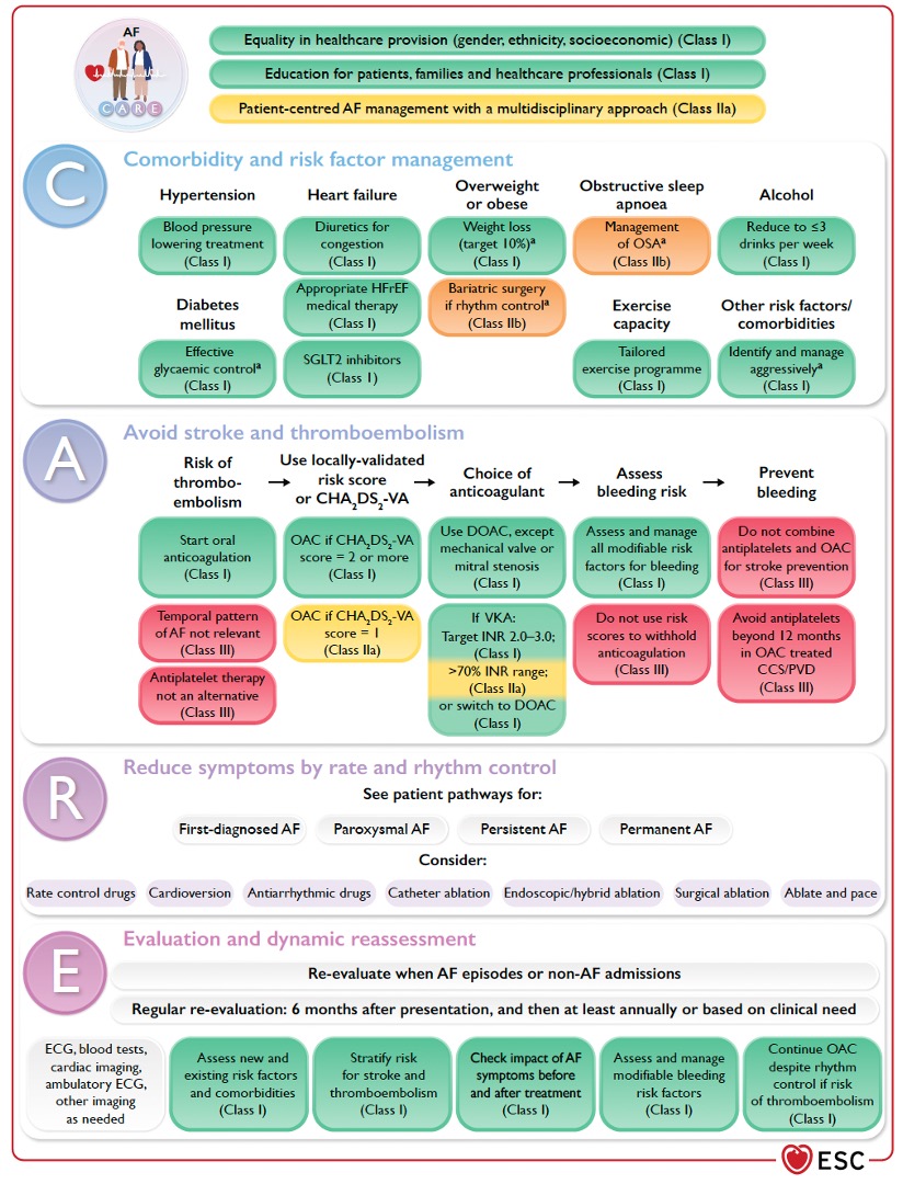 Elena Arbelo (@arbelo_e) on Twitter photo The 2024 #atrialfibrillation #ESCGuidelines are out!
From ABC to AF-CARE to emphasize the importance of early management of comorbidities and risk factors!
#ESCCongress #AFib #EHRA_ESC <a href="/EHRAPresident/">EHRAPresident</a> <a href="/escardio/">European Society of Cardiology</a> The 2024 #atrialfibrillation #ESCGuidelines are out!
From ABC to AF-CARE to emphasize the importance of early management of comorbidities and risk factors!
#ESCCongress #AFib #EHRA_ESC <a href="/EHRAPresident/">EHRAPresident</a> <a href="/escardio/">European Society of Cardiology</a>