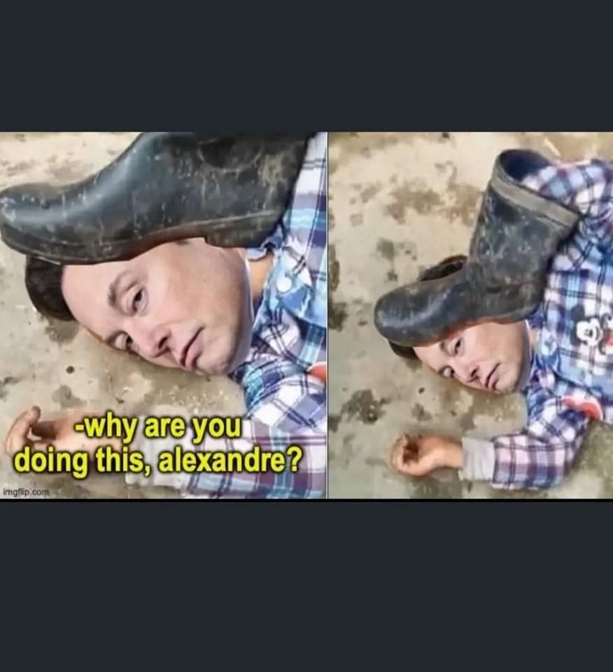 <a href="/elonmusk/">Elon Musk</a> 😂