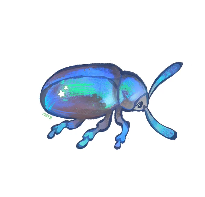 A bug! A beetle bug! You can get this shiny guy delivered to your mailbox by joining my patreon before the end of the month!  