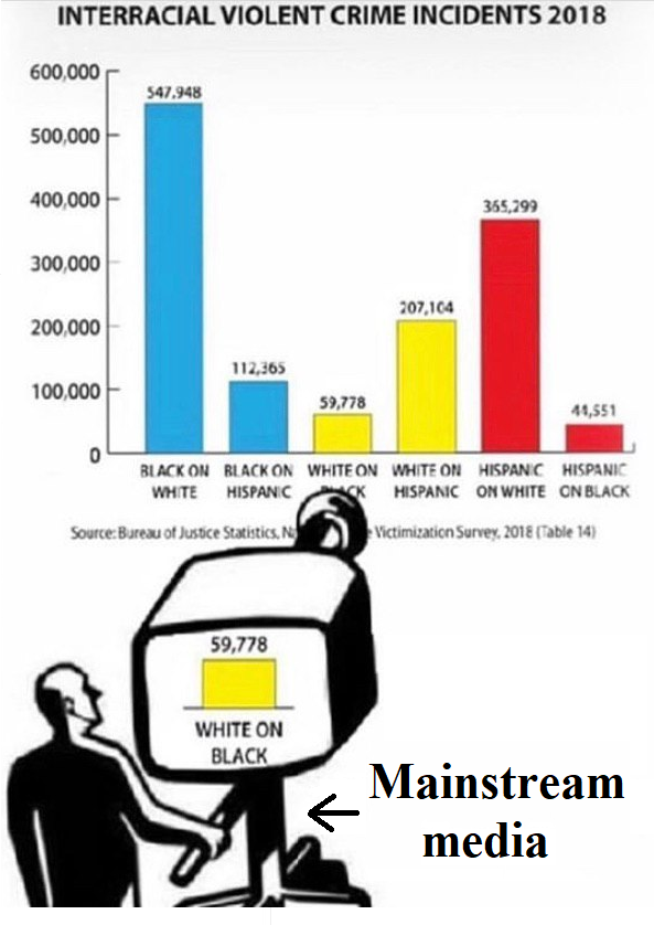 ddd12211122's tweet photo. @nikkithagod @tariqnasheed miss we need an #antiWhiteHateCrimeBill ASAP https://t.co/wJWcsCm3SQ