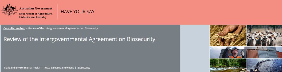 ChiefVetAus's tweet image. The discussion paper for the independent review of the Intergovernmental Agreement on Biosecurity (IGAB) is open for consultation. Have Your Say at 👉ow.ly/bCqa50T763Q

Consultation closes at 5pm on Thursday 15 September 2024

#DAFF #biosecuritymatters #IGABReview