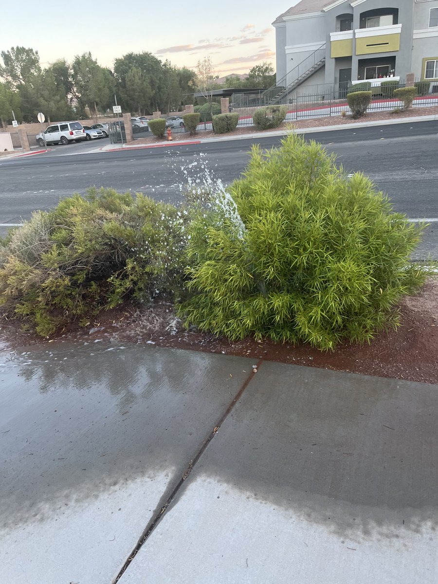 Frances Richards, Ph.D.|Podcaster| Business Coach (@drfrichards) on Twitter photo <a href="/MajesticPark/">MajesticPark</a> we have a water 💦 leak. We must preserve our water. #leaks #water #lasvegas <a href="/MajesticPark/">MajesticPark</a> we have a water 💦 leak. We must preserve our water. #leaks #water #lasvegas
