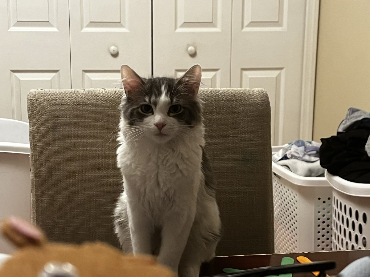 btch_ldy's tweet photo. Update: she’s a fuckin menace. https://t.co/gJzTUjEZ0T