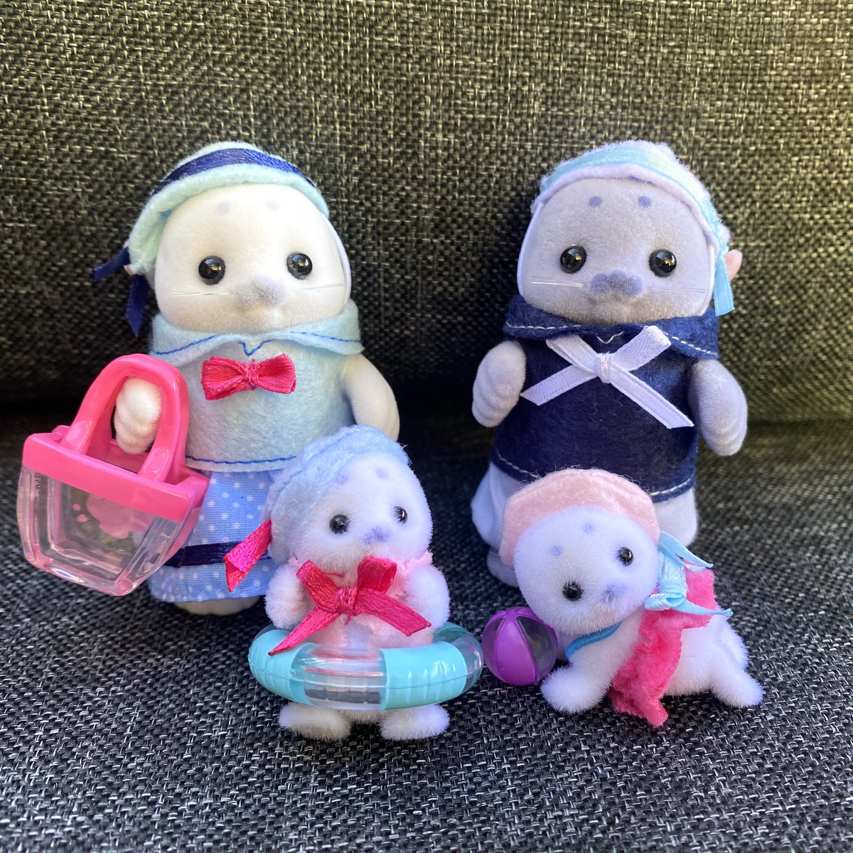 Birthday present 🦭 they are so cute #seal