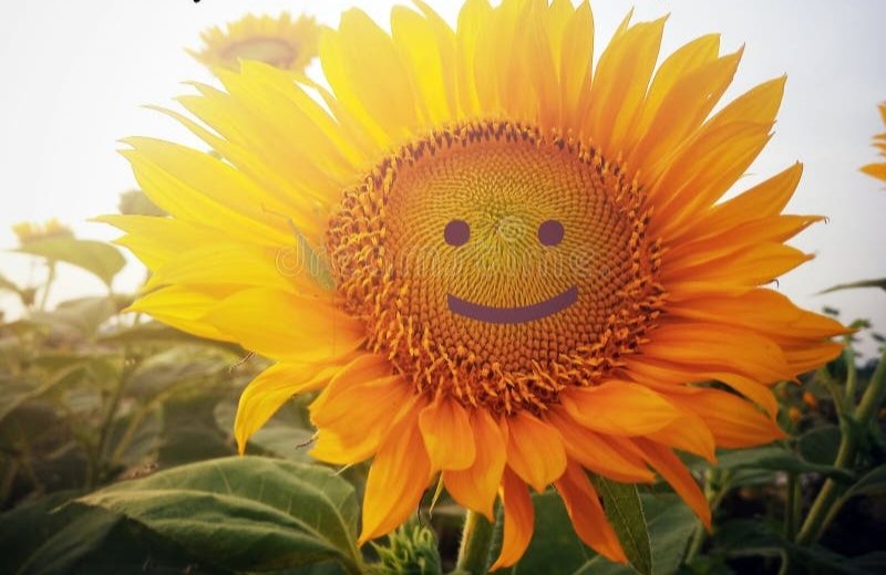 Smile in the mirror. Do that every morning and you’ll start to see a big difference in your life.” 
—Yoko Ono