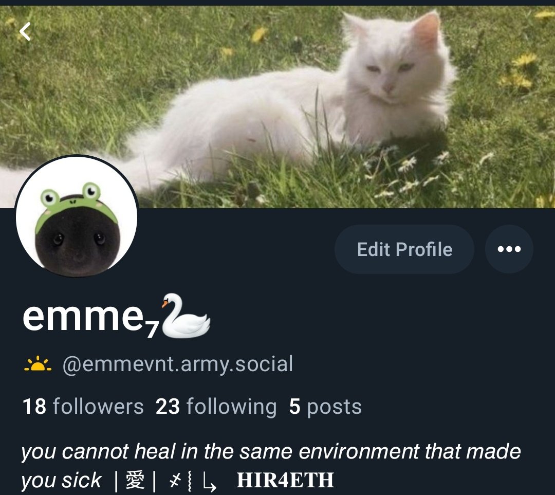 emmevnt_'s tweet photo. Aaaa consegui mudar o domínio do meu user lá na blue sky pra https://t.co/i7tmzbggH2 agr ficou mais fofinho 😪😪 https://t.co/GFZQCTUJ99