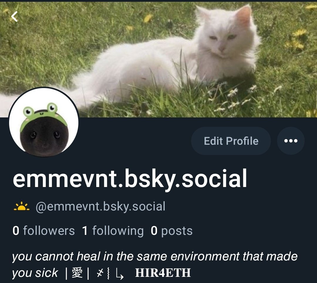 emmevnt_'s tweet photo. Aaaa consegui mudar o domínio do meu user lá na blue sky pra https://t.co/i7tmzbggH2 agr ficou mais fofinho 😪😪 https://t.co/GFZQCTUJ99