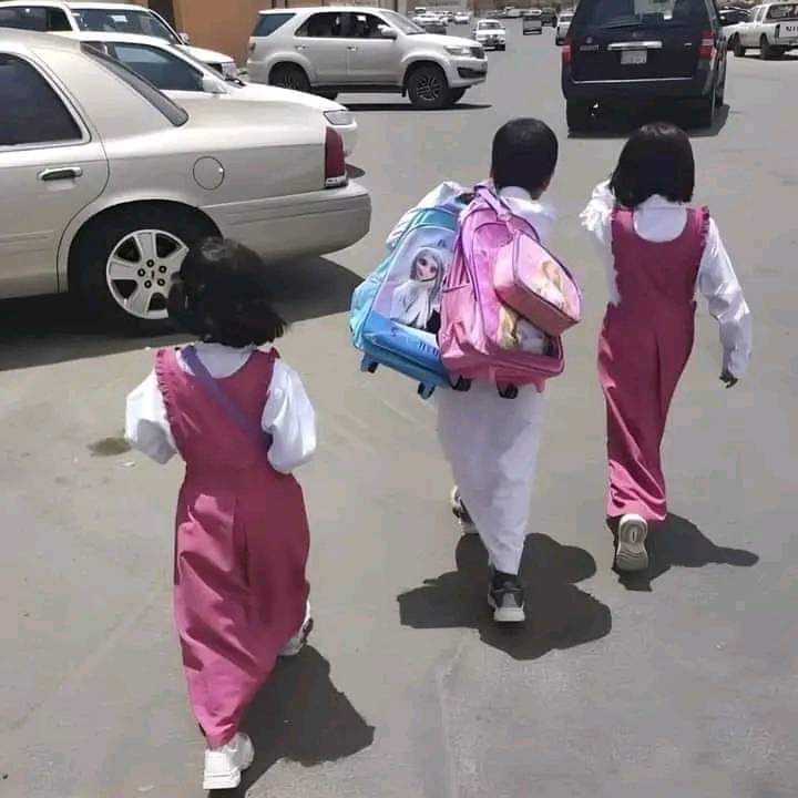 جب جان لٹانے والے بھائی ہوں تو بہنوں کو کسی چیز کی کمی یا خوف نہیں ہوتا❣️