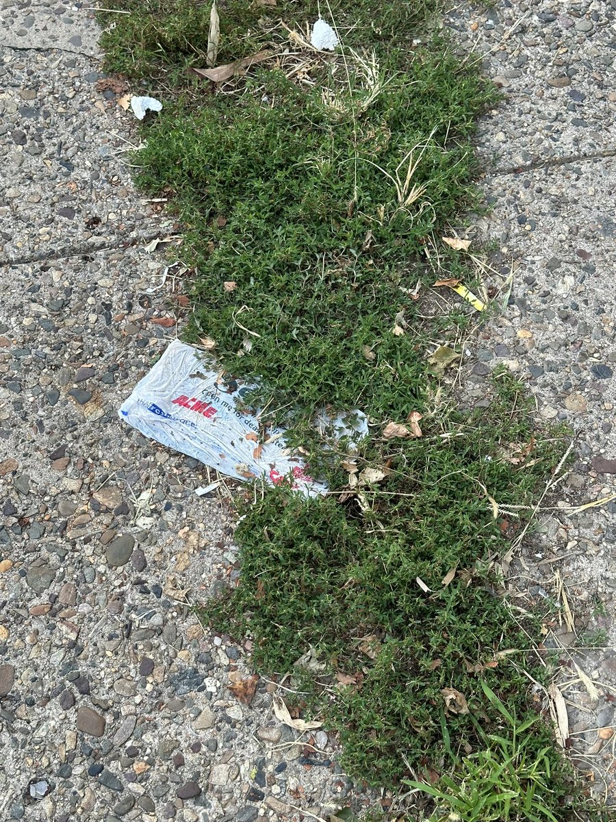 More SaveDotCom litter, when will big corporations stop throwing #Litter all over the streets of #Philly ?