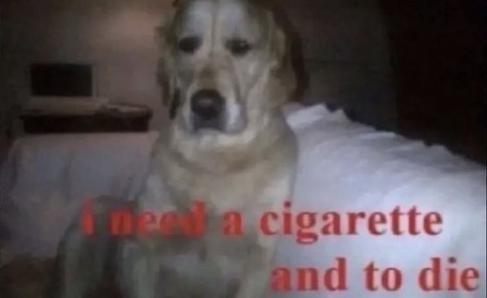 ‏ؘ ‏ tweet media