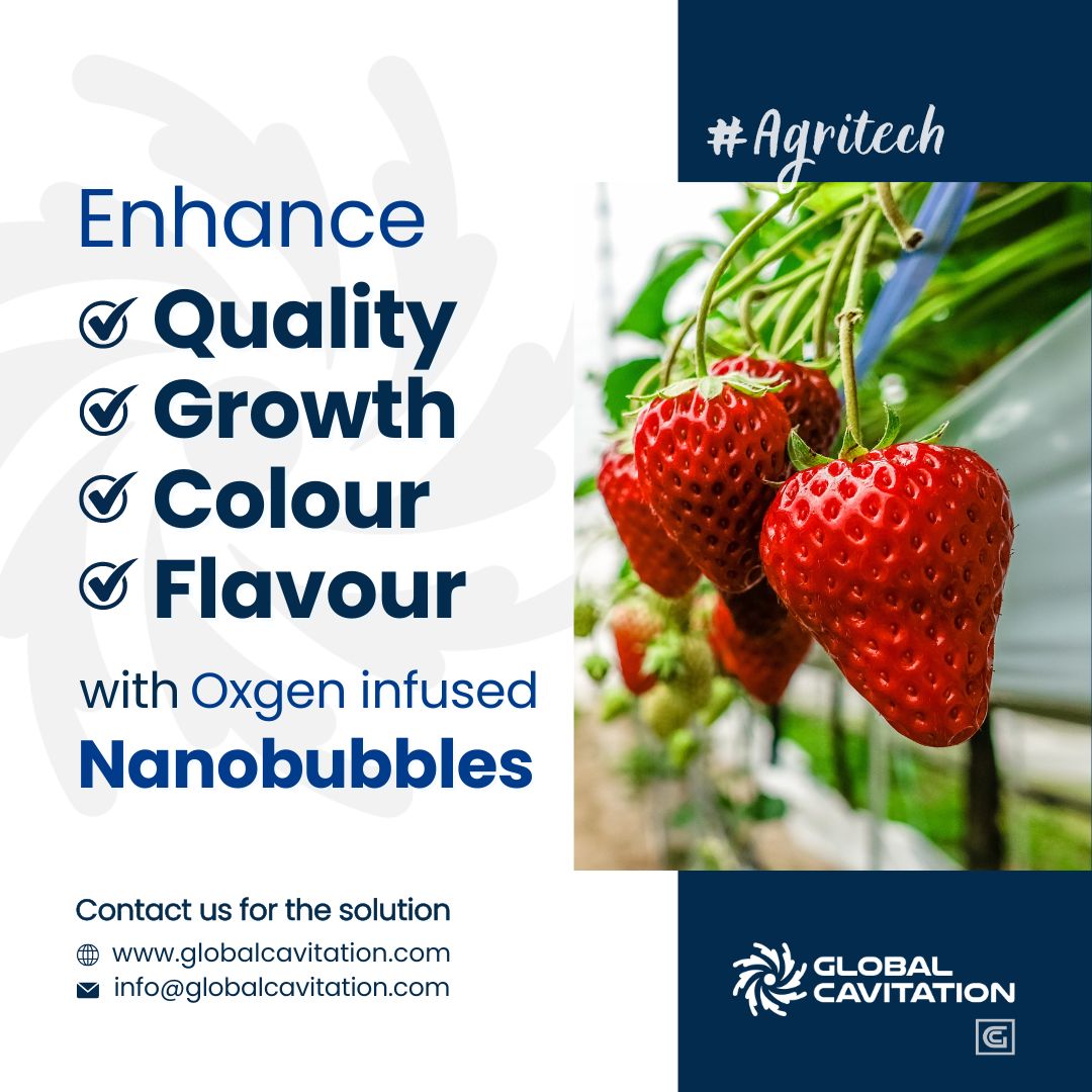 cavibubble's tweet image. 🍓 Enhance Your Strawberry Crops with Oxygen Nanobubble Technology! 🍓

Find Out More:
globalcavitation.com/hydroponics/

#Nanobubbles #NanobubbleTechnology #SustainableFarming #GreenhouseInnovation #AgriculturalRevolution #greenhouse