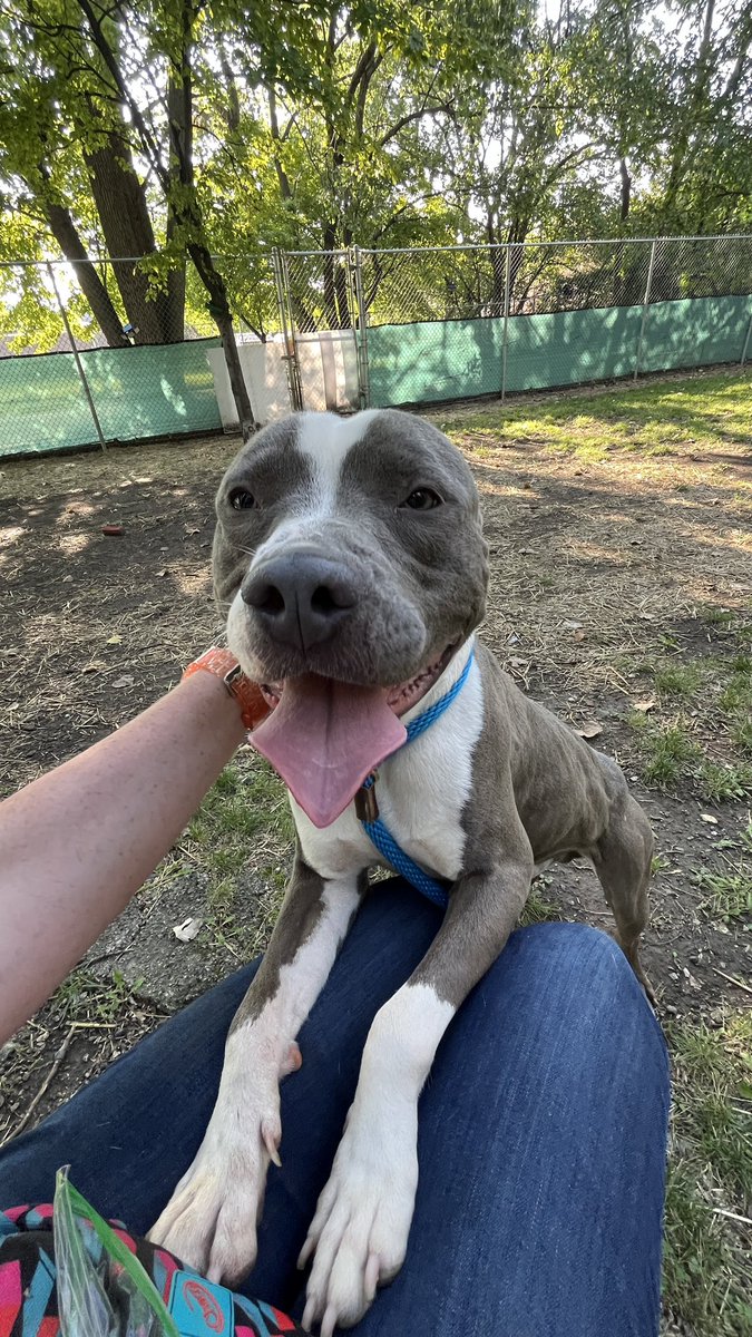 Jess dba Anhalt tweet media