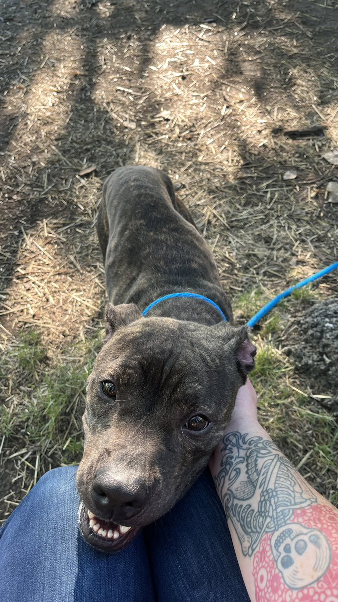 Jess dba Anhalt tweet media