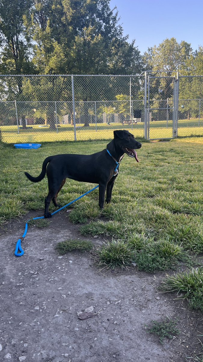 Jess dba Anhalt tweet media