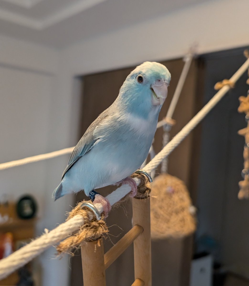 台風どーなんの？🌀