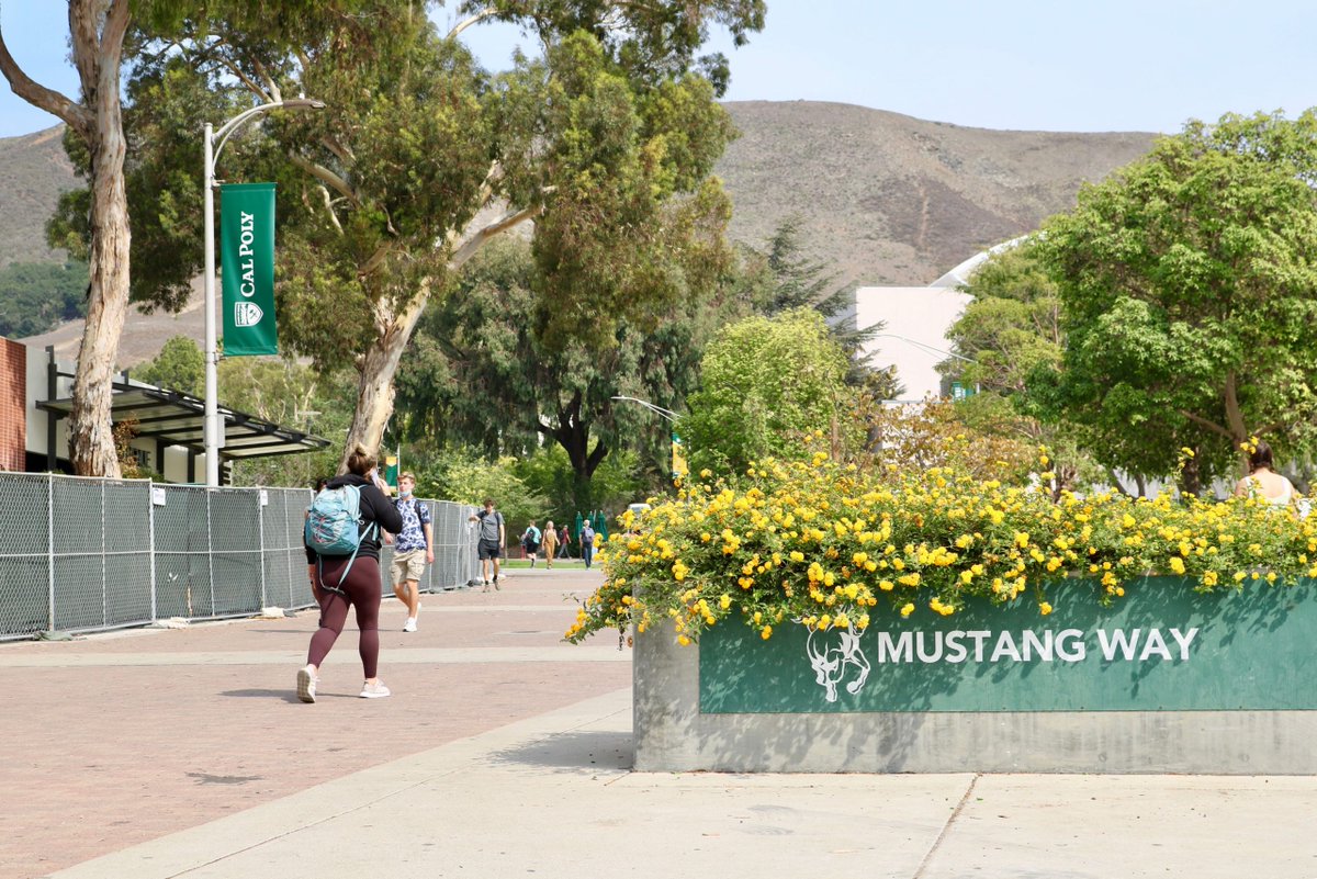 Cal Poly ranks 57 in Forbes’ best American colleges dlvr.it/TCY3Gq