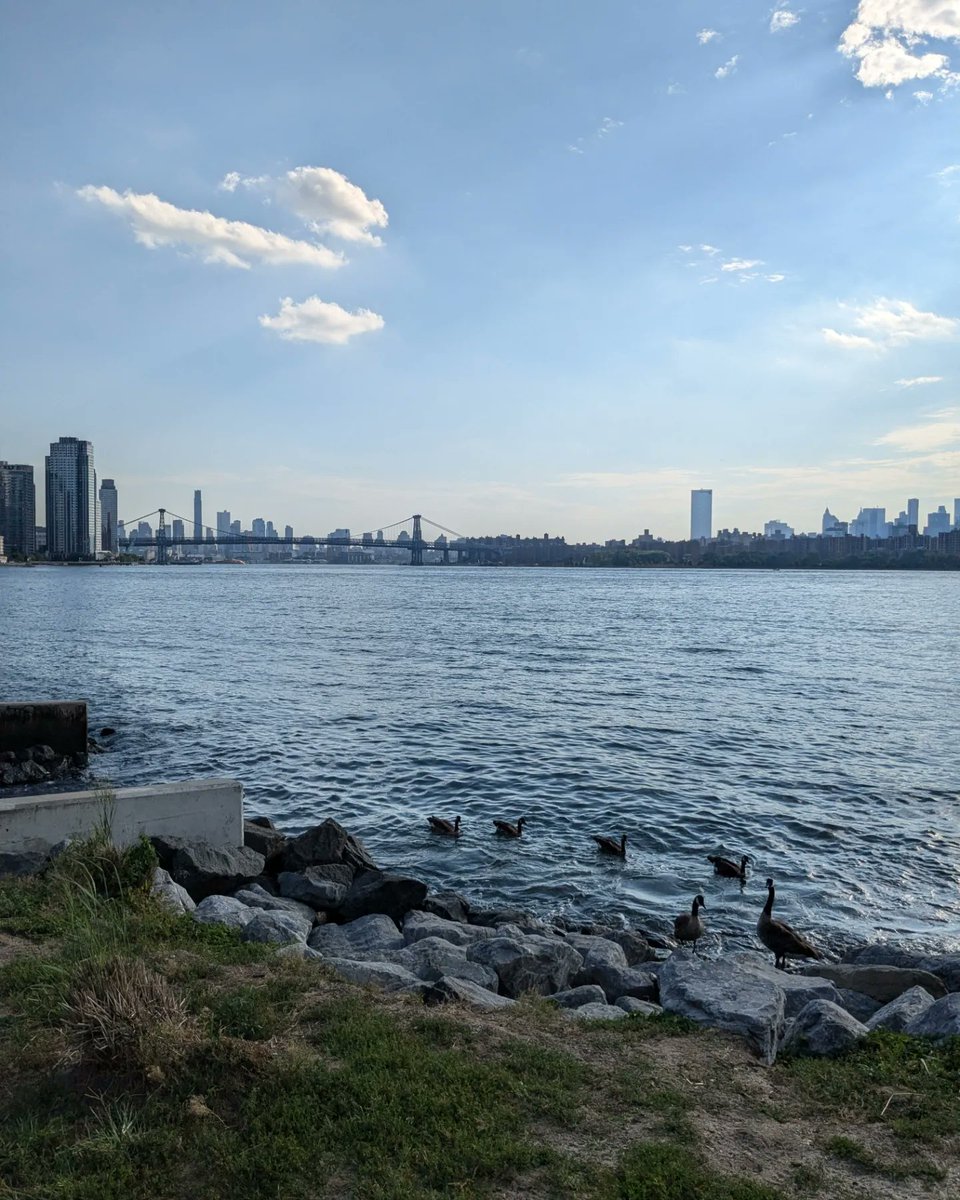 Benjamin Goodman tweet media