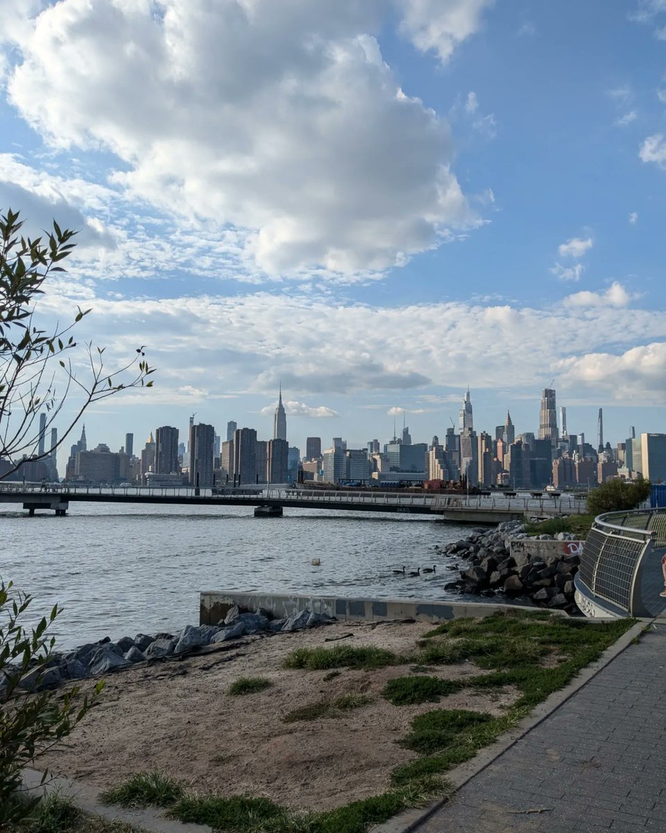 Benjamin Goodman tweet media