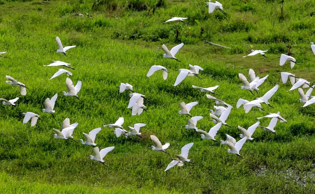 ColorfulZQ's tweet photo. 🍃The beginning of autumn has passed with a gentle breeze, meaning it's time to experience the beauty of nature once more. Seek a peaceful and comfortable place, and indulge in the tranquility of Yong'an town, Dinghu district, #Zhaoqing. #BetterZhaoqing #ZhaoqingScenery https://t.co/uK9My4QCFR