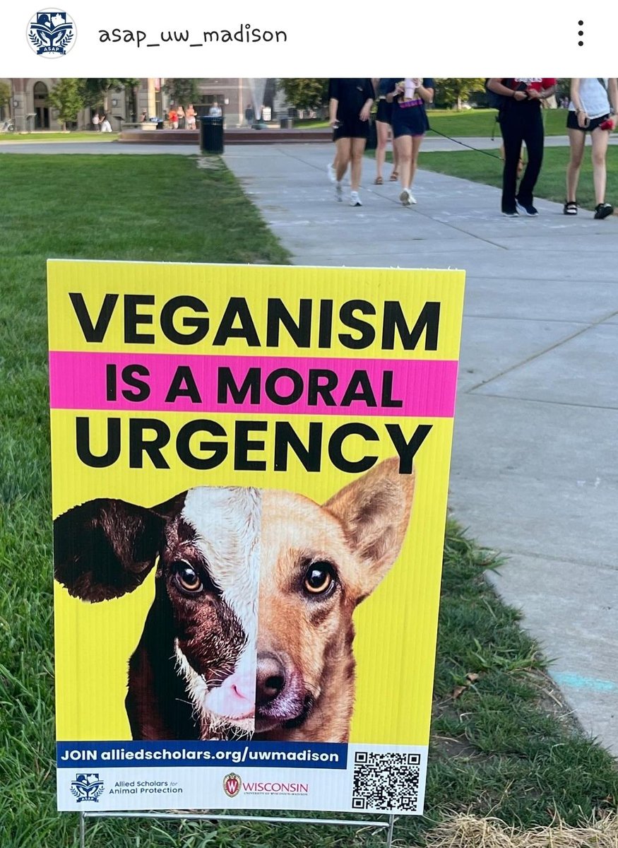DrFarazHarsini's tweet photo. Veganism is a moral urgency. 

Signs found all around University of Wisconsin-Madison. https://t.co/LWvXXt7AiM