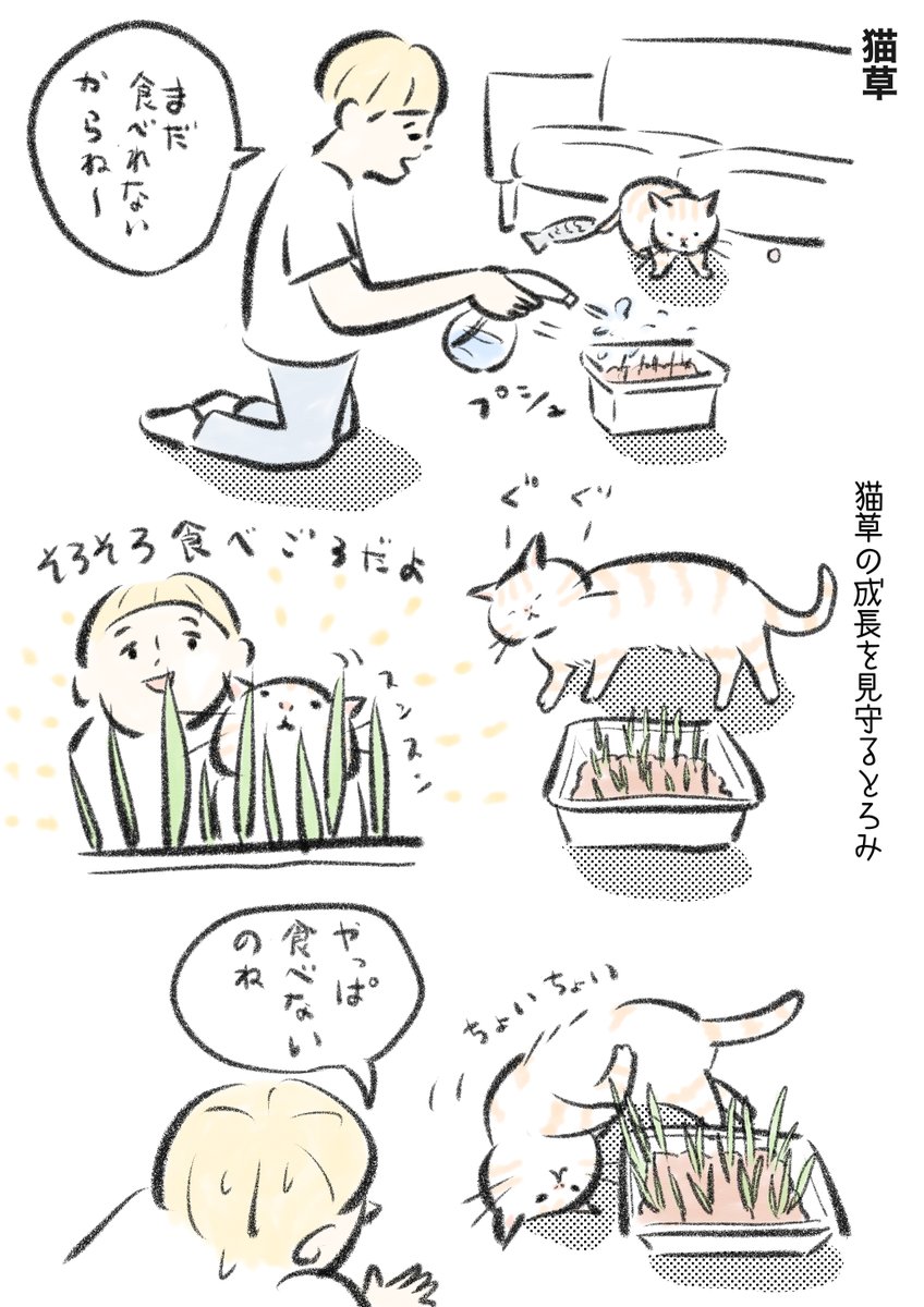 とろみとの日記漫画 まとめ読み(2/6) 