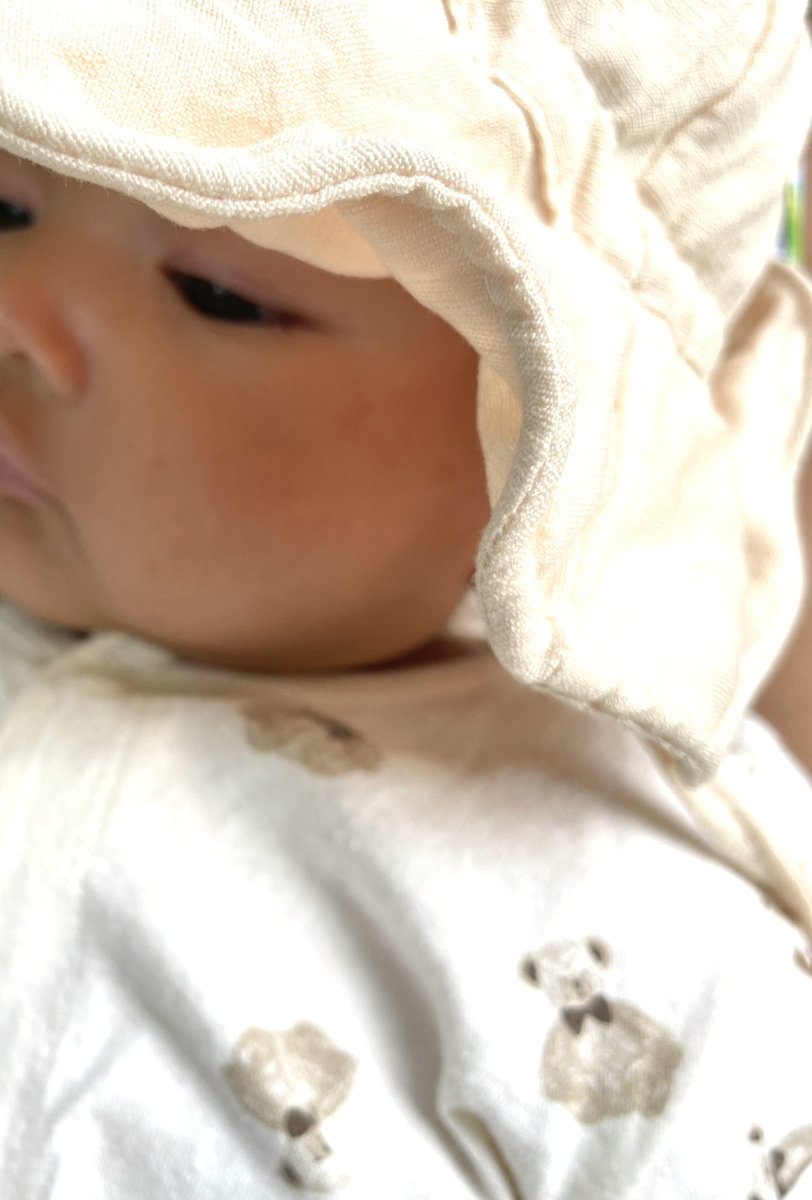 ต้นไม้ของเตนล์ 🌱 tweet media