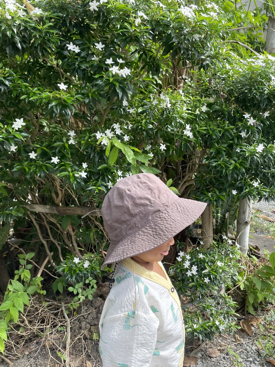 ต้นไม้ของเตนล์ 🌱 tweet media