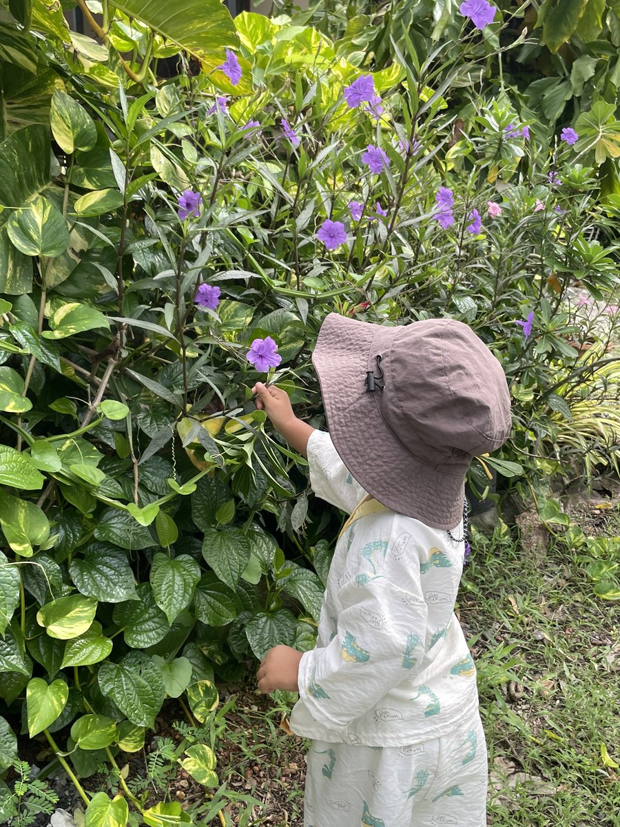 ต้นไม้ของเตนล์ 🌱 tweet media