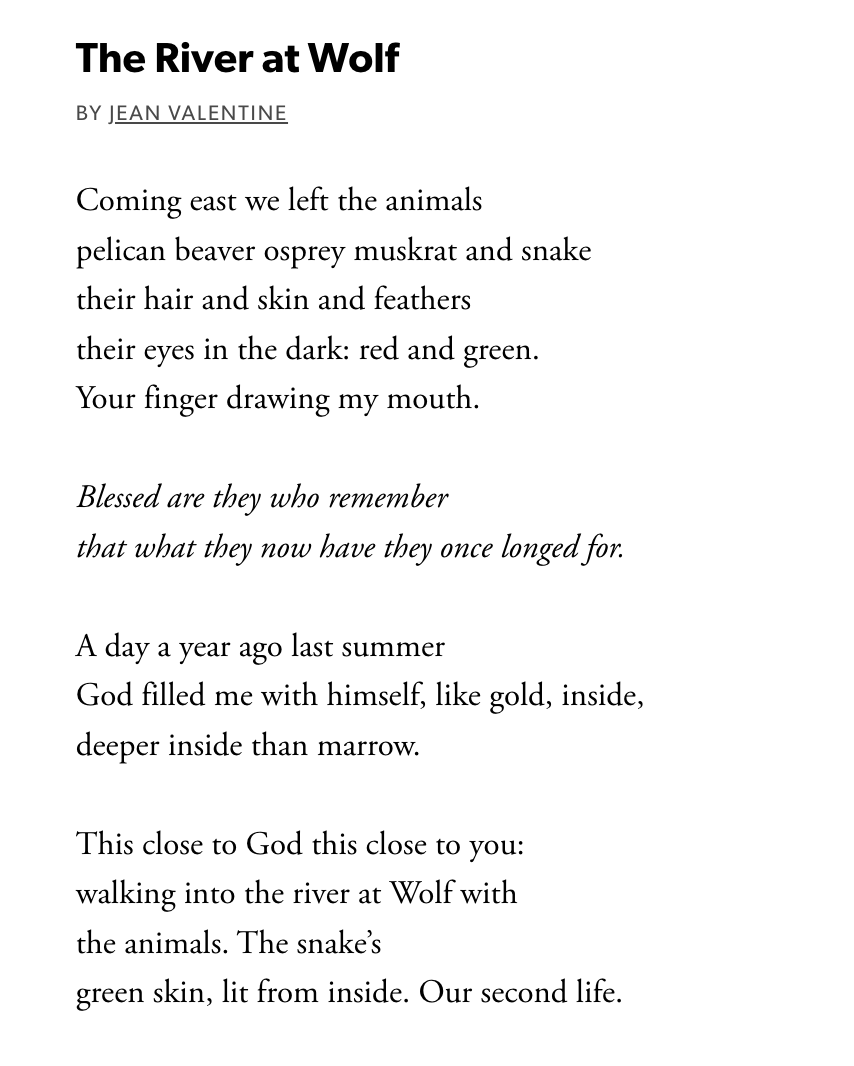 jej_sen's tweet photo. "This close to God this close to you:"

i return again &amp; again to Jean Valentine's "The River at Wolf" https://t.co/lYwAbr6PvU