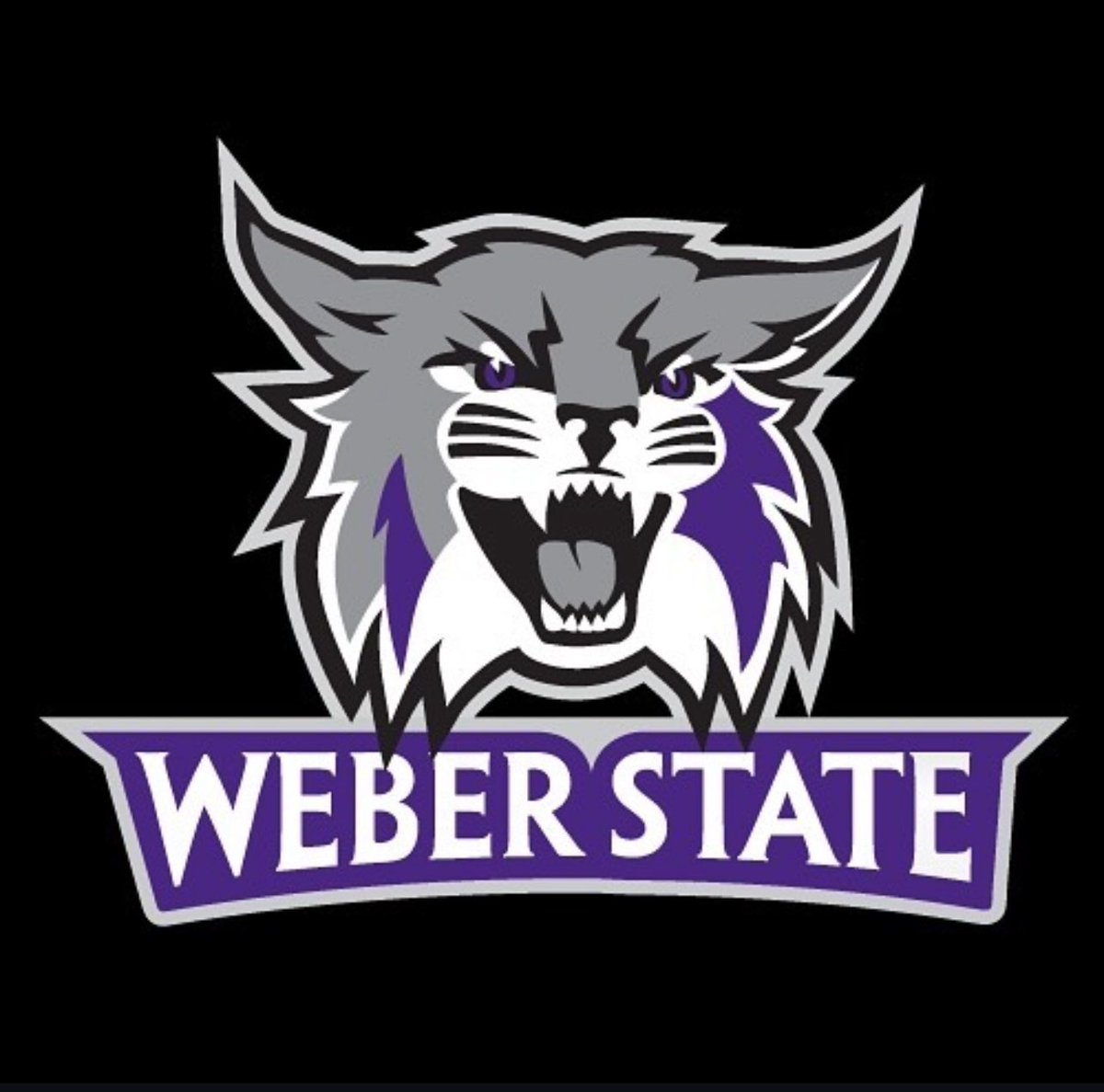 Taua Puloka ๐น๐ด (@tauapuloka) on Twitter photo Blessed to have received an offer from <a href="/WeberStateWBB/">Weber State WBB</a> thank you Coach Jax for the opportunity!! Go Wildcats!! Blessed to have received an offer from <a href="/WeberStateWBB/">Weber State WBB</a> thank you Coach Jax for the opportunity!! Go Wildcats!!