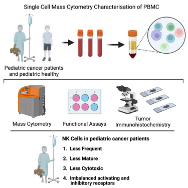 Waggoner Lab (@labwaggoner) on Twitter photo Defects in NK cell immunity of pediatric cancer patients revealed by deep immune profiling <a href="/kearns_pam/">Pam Kearns</a> <a href="/iScience_CP/">iScience journal</a> <a href="/DrGrahamTaylor/">Graham S Taylor</a>
cell.com/iscience/fullt⦠Defects in NK cell immunity of pediatric cancer patients revealed by deep immune profiling <a href="/kearns_pam/">Pam Kearns</a> <a href="/iScience_CP/">iScience journal</a> <a href="/DrGrahamTaylor/">Graham S Taylor</a>
cell.com/iscience/fulltβ¦