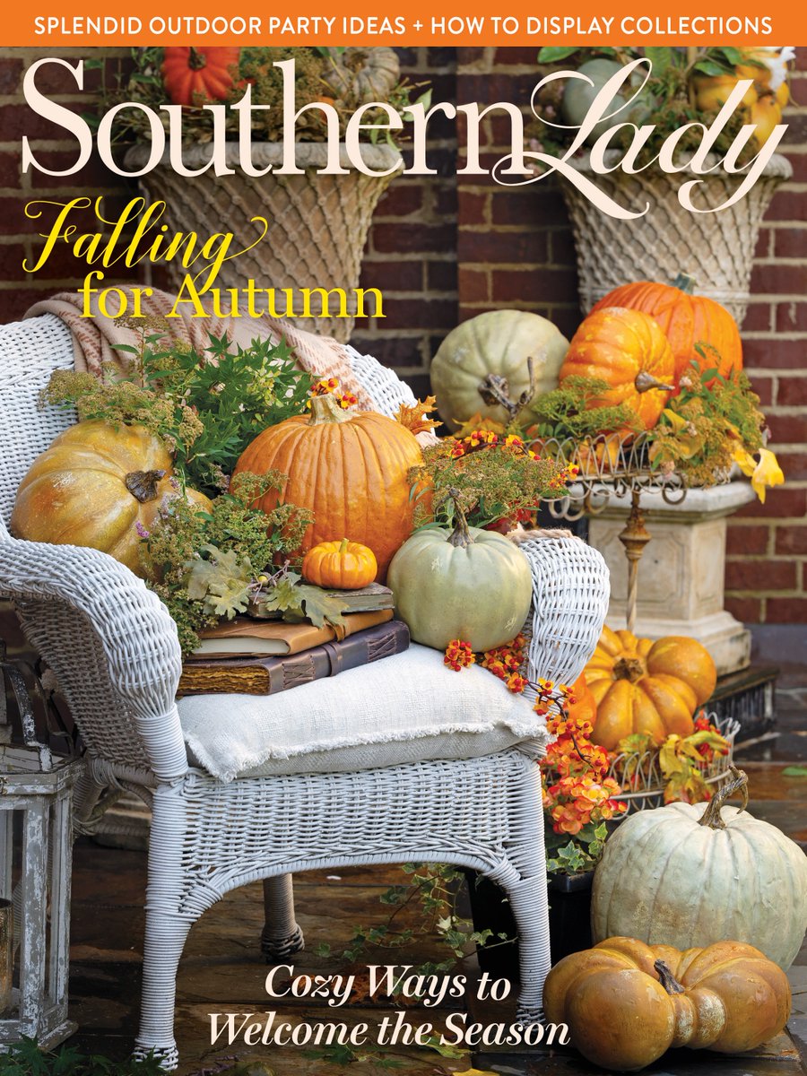 Southern Lady tweet media