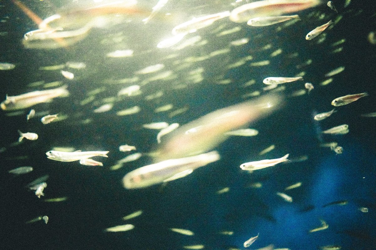 Mori (@cooom_1525) on Twitter photo 