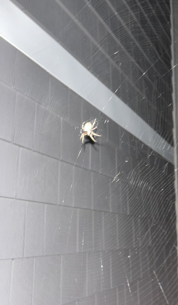 Kevin Lemanowicz tweet media