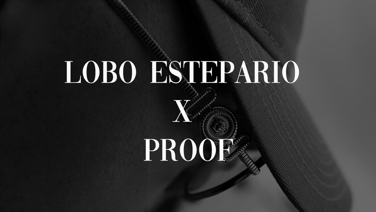 Lobo Estepario tweet media