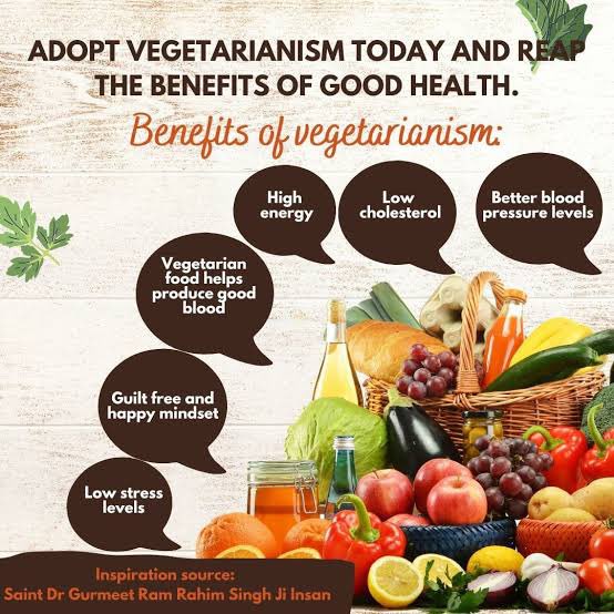 anshpreetkaur01's tweet photo. Adopting a vegetarian diet not only keeps us healthy but also shows kindness to all living beings. Saint Dr. MSG Insan advises adopting a vegetarian diet. A number of people have adopted #VegIsHealthy diet. https://t.co/wWfWvThGLz