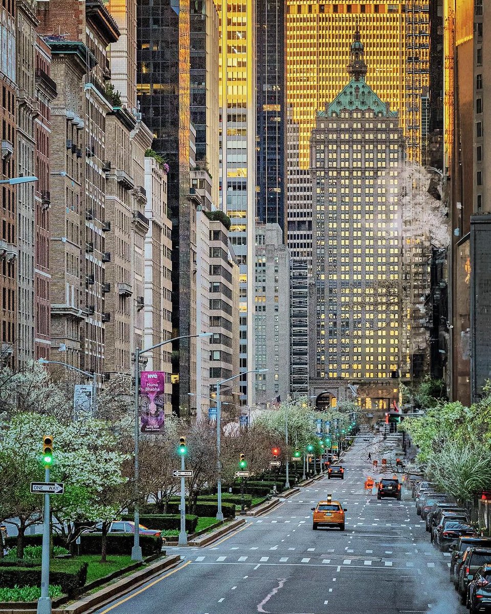 Park Avenue, New York City