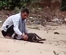 Meet Ashar tweet media