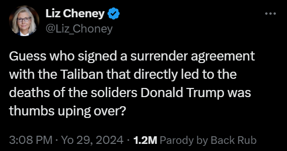 Liz Cheney knows Trump definitely bears responsibility for our Afghan withdrawal too 🔥