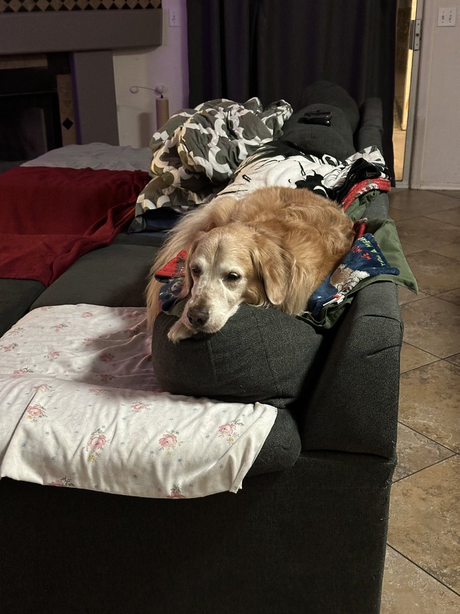 devin480's tweet image. Lincoln is officially 10 years old today 😄🎉  happy birthday dude!