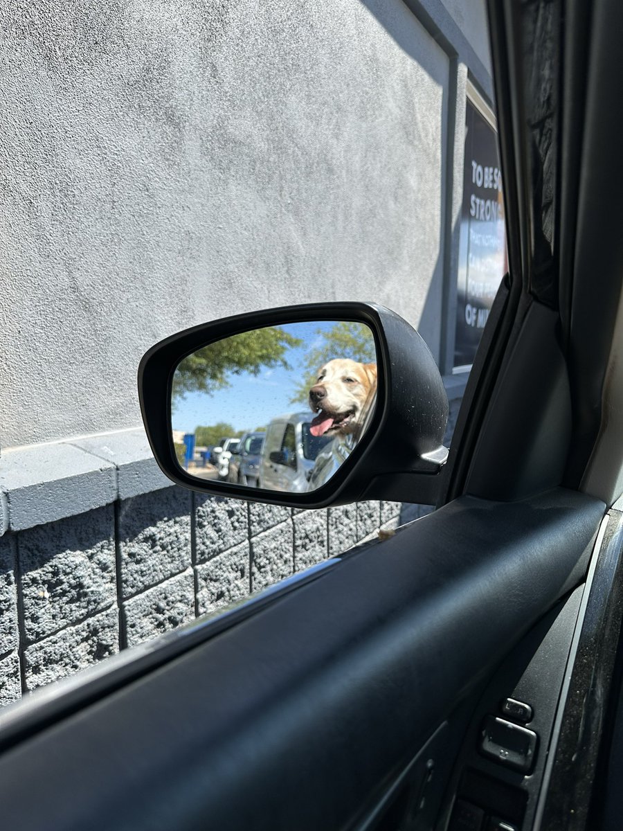 devin480's tweet image. Lincoln is officially 10 years old today 😄🎉  happy birthday dude!