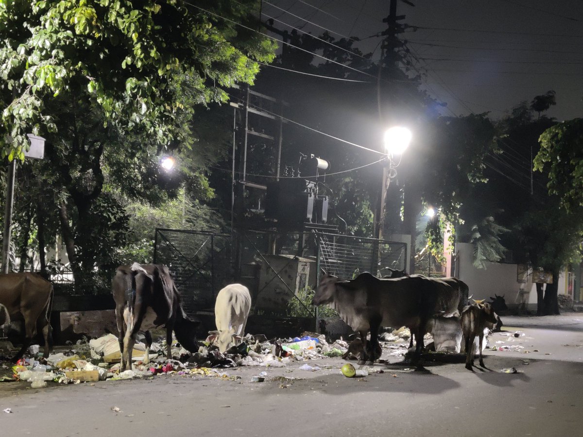 Anupama5887's tweet photo. @noida_authority @CeoNoida @dmgbnagar @CMOfficeUP @myogiadityanath यहां पर कूड़ा खुले में फैला हुआ रोड पर जिससे आवागमन में भी बाधा आ रही है। कृपया ऊचित कारवाही करे। नोडा sector 12, सरवस्ती school के पास वाले ट्रांसफार्मर पर। https://t.co/BcszagfqYk